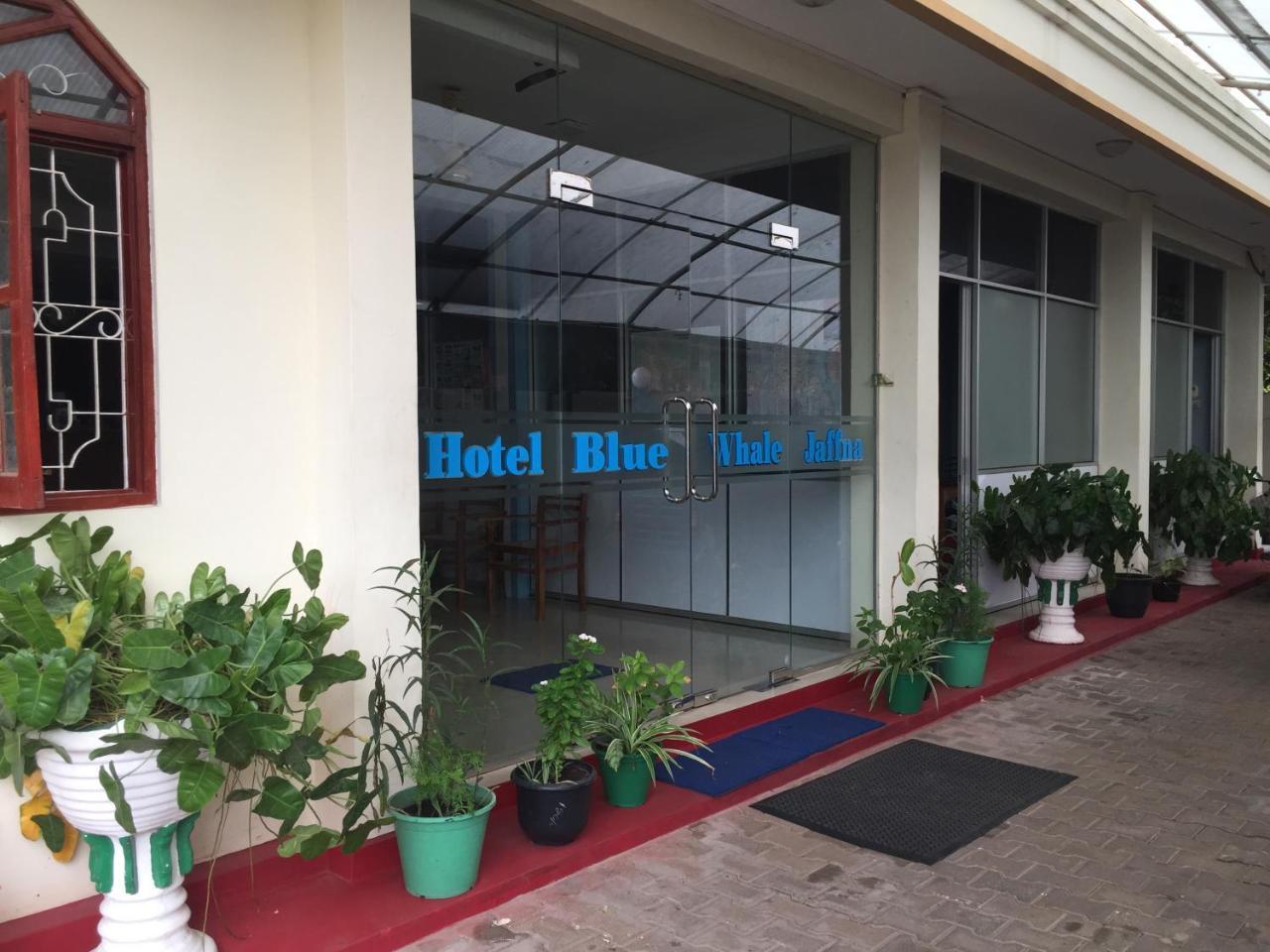 Hotel Blue Whale Jaffna Kültér fotó